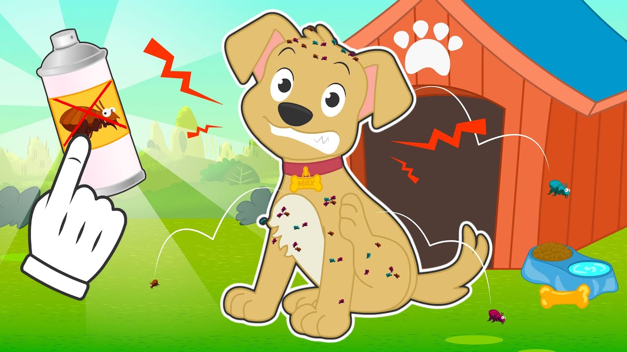 BABY PETS 🪳 El perro Max está lleno de PULGAS 😱 Aprende cómo eliminar parásitos