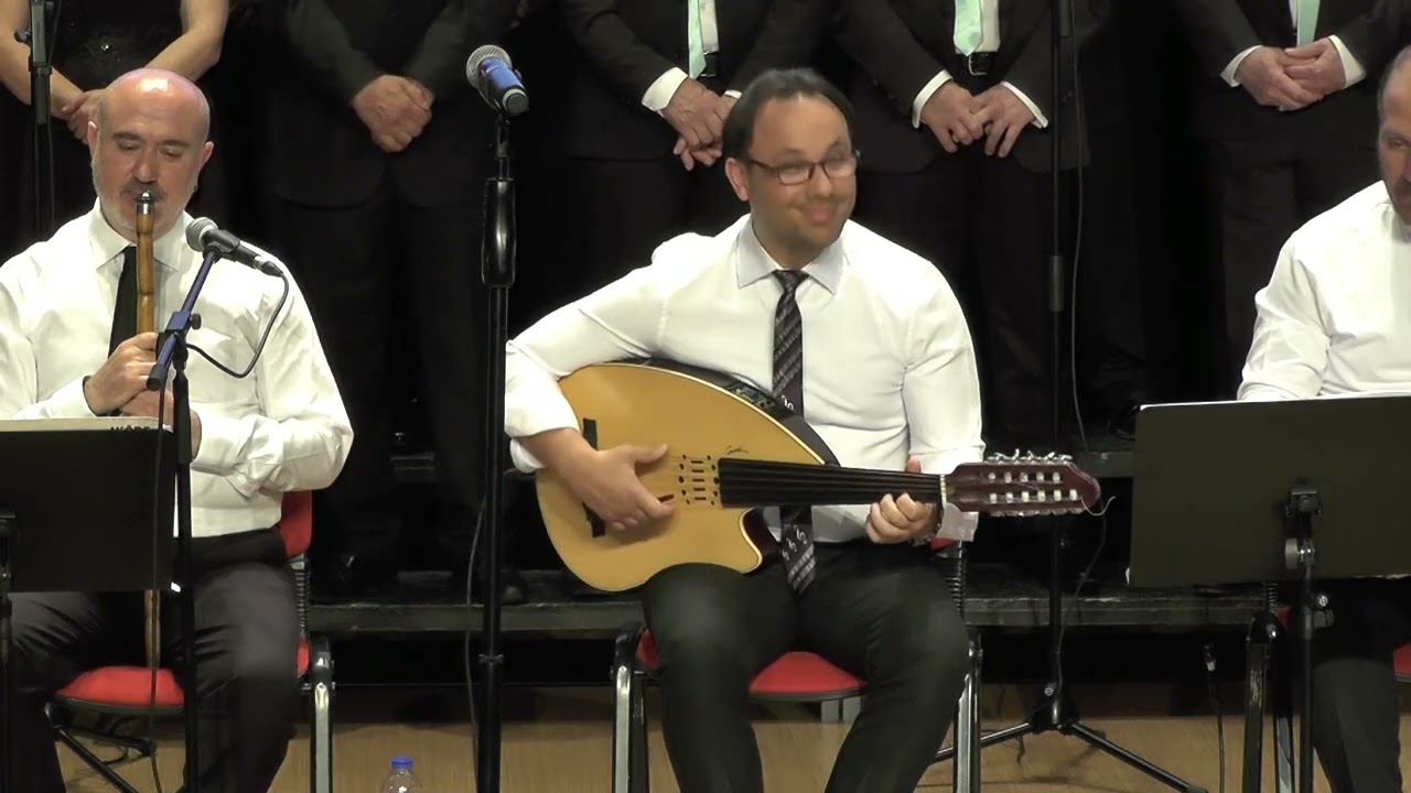 Ud Taksimi Do&ccedil;. Dr. Hakan EMRE ZİYAGİL ...
