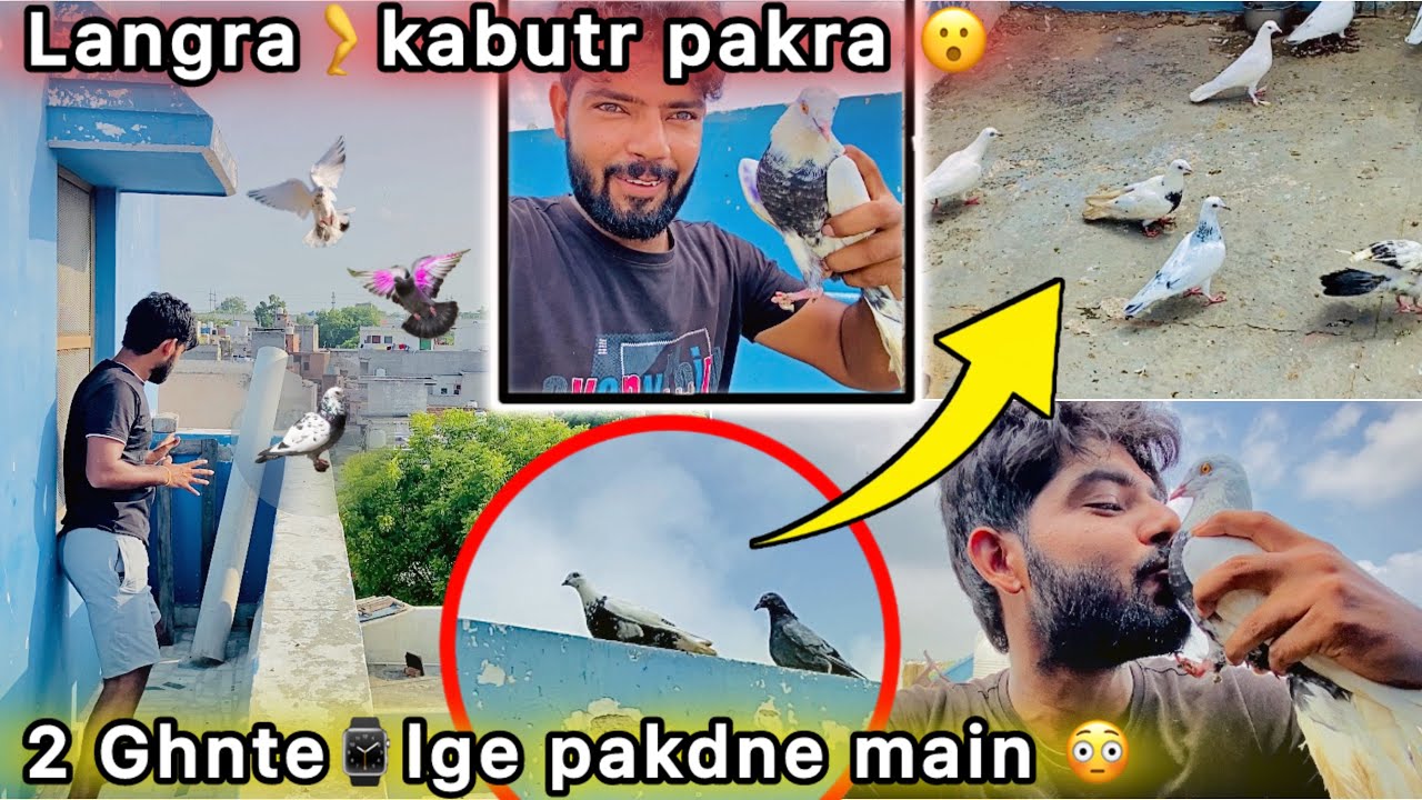 Finally Aaj Langra kabutar pakd liya 🤑 || Bht Mushkil se Hath Lga 😁
