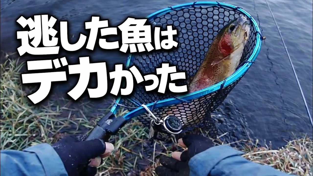 朝イチの判断ミスった！！！【黒保根フィッシング】【エリアトラウト】【管理釣り場】