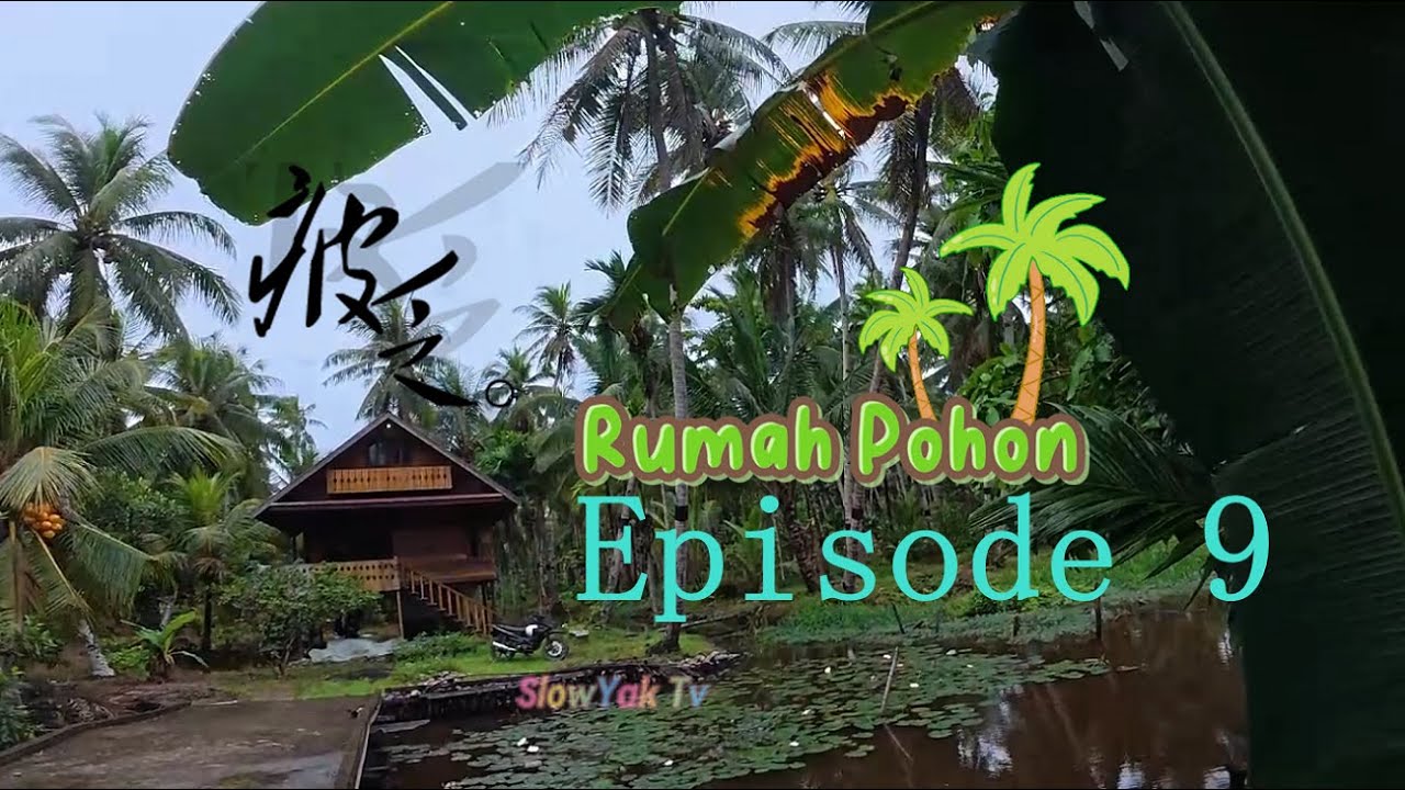 HuJan MenGunGkap Rahasia: JeJak PeTualanG di rumah pohon