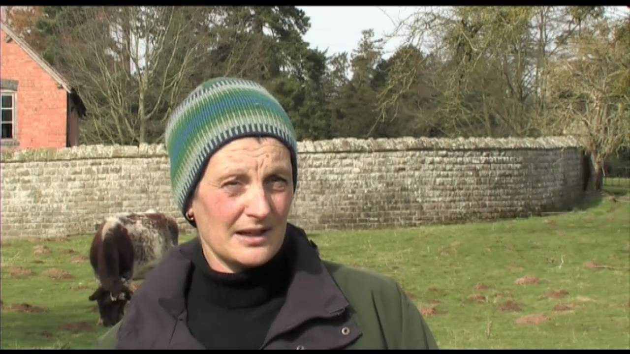 The Effects of Bovine TB on Livestock Farmers
