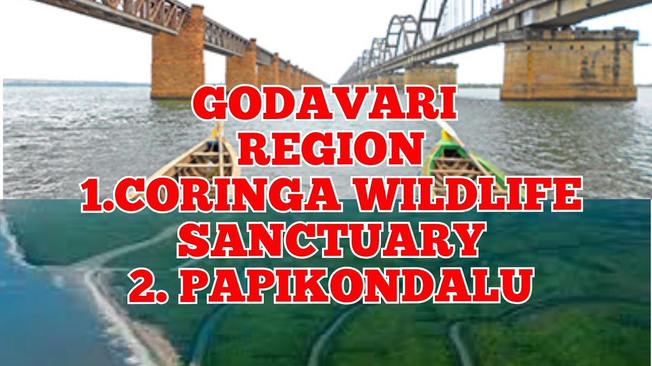 🇮🇳CORINGA WILDLIFE SANCTUARY, PAPIKONDALU  Godavari Region, Andhrapradesh, India.