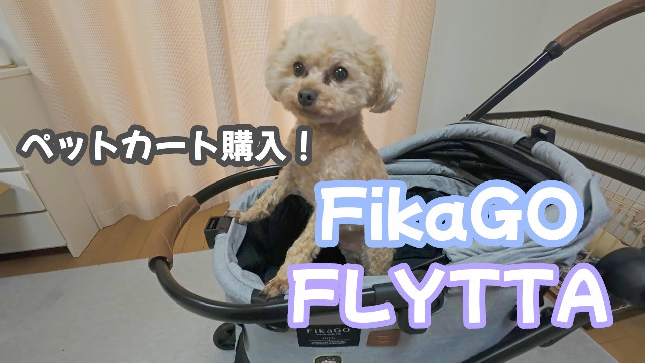 【ペットカート】愛犬へカートを購入しました | FikaGO フィカゴー