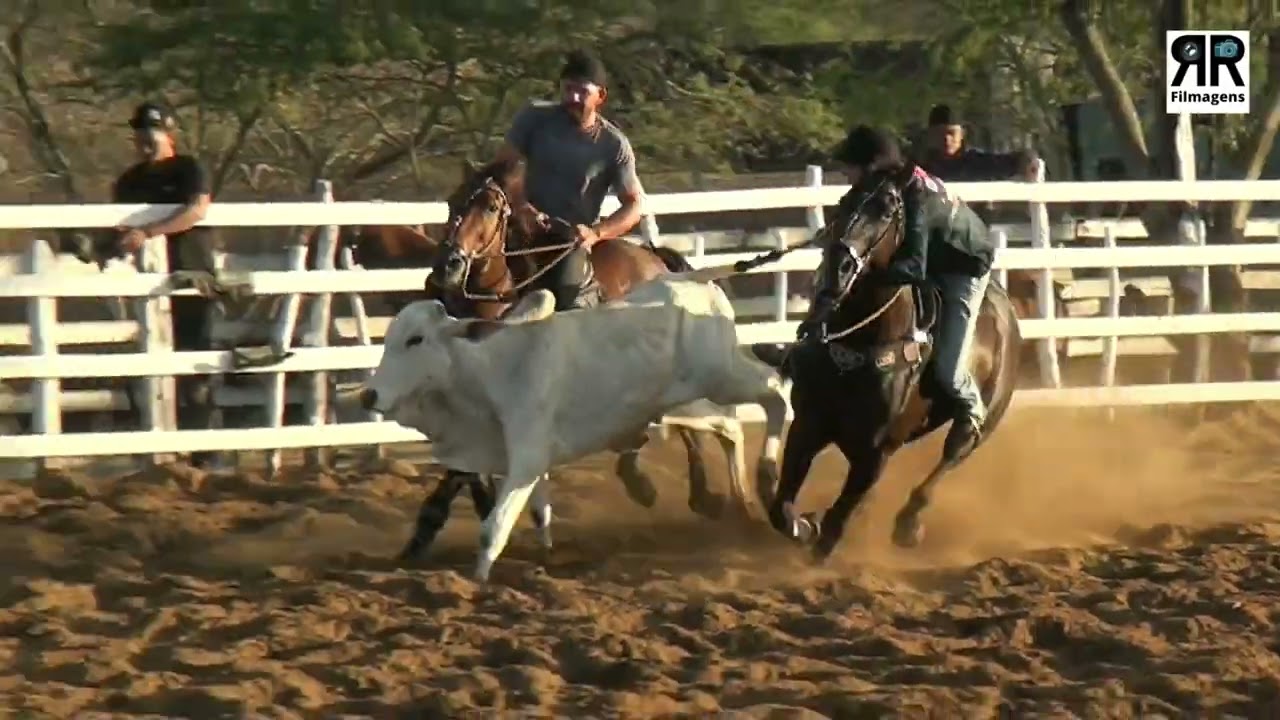 Classificação Domingo, Haras Huse, Parque Libanês-PE