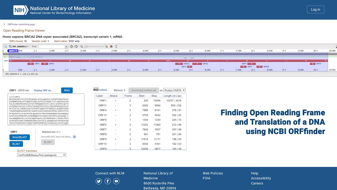 Finding Open Reading Frame and Translation of a DNA using ORFfinder #bioinformatics #dna #protein