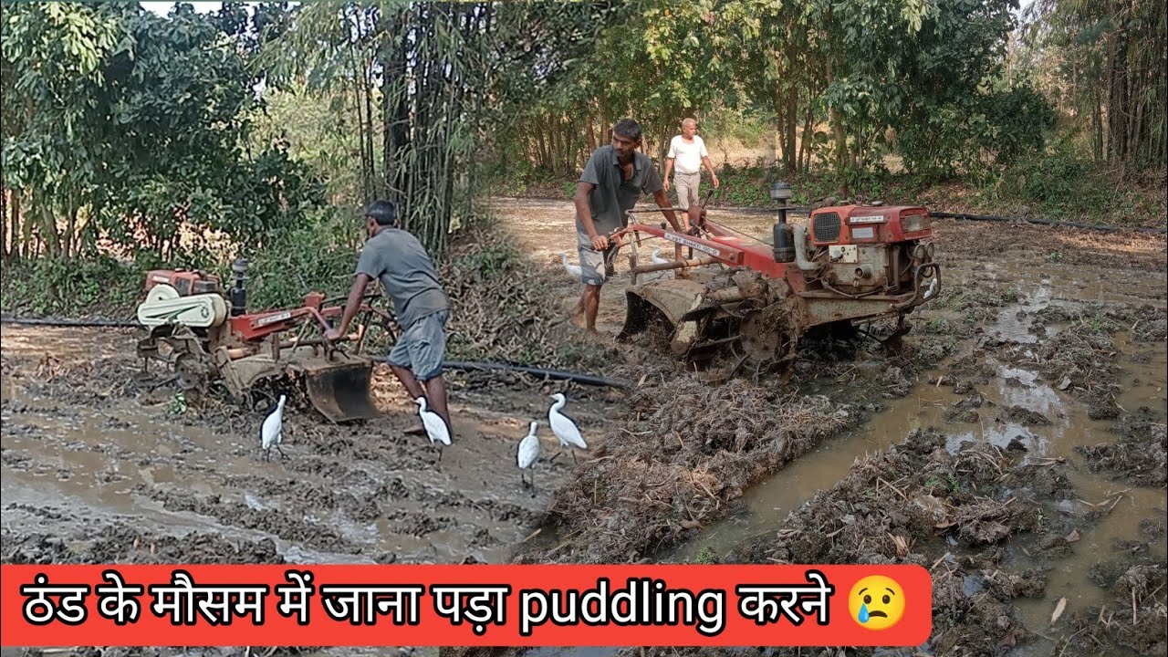 ठंड के मौसम में जाना पड़ा puddling करने ।। VST Shakti Power tiller puddling in other village 