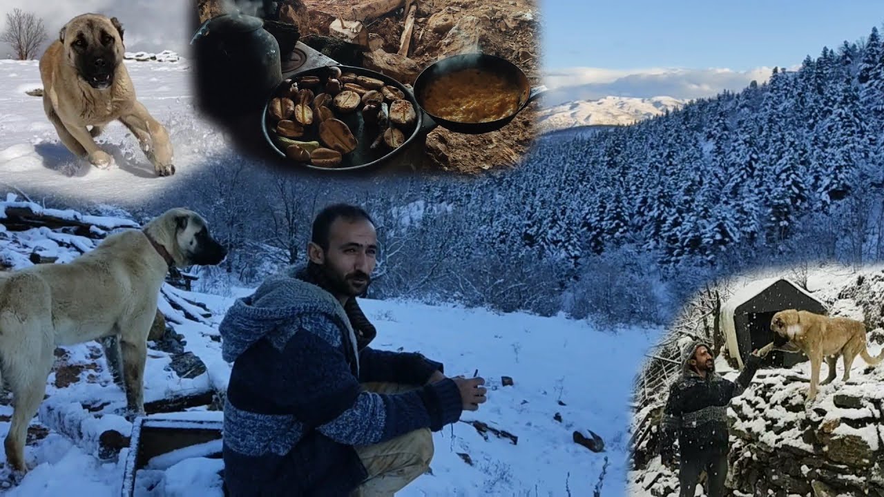 KÖYDE YOĞUN KAR DAĞ EVİNE ÇIKTIK/SOBADA PATATES -kar orman manzaraları-kangalın kar sevinci