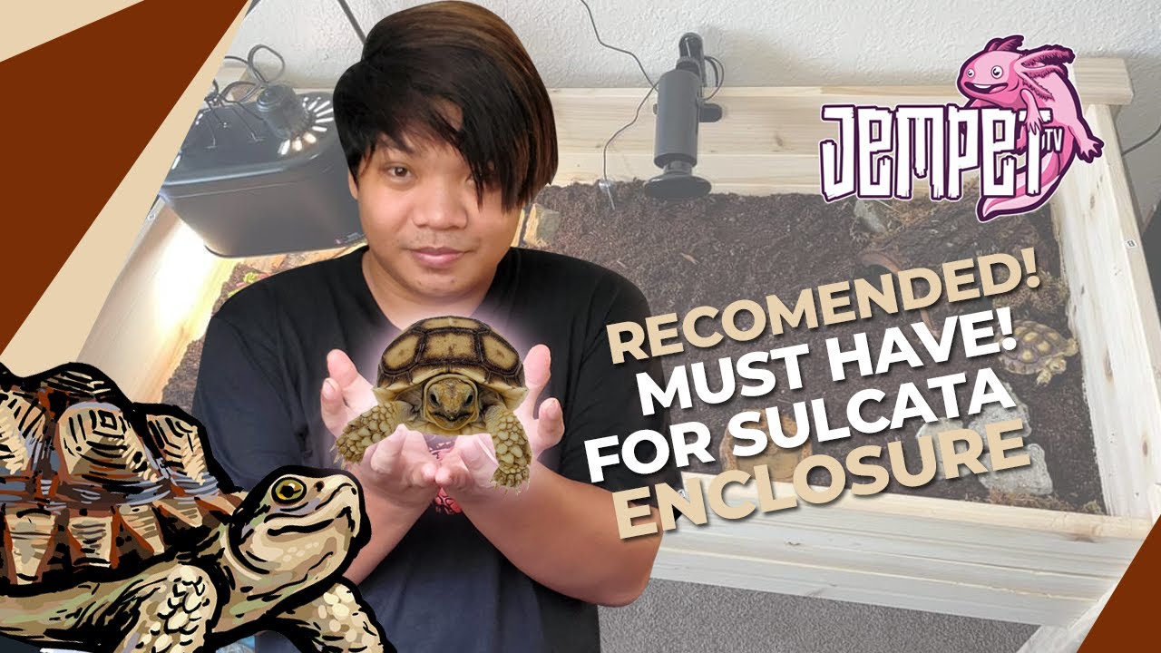 Setting up my sulcata tortoise enclosure (Jempet TV)