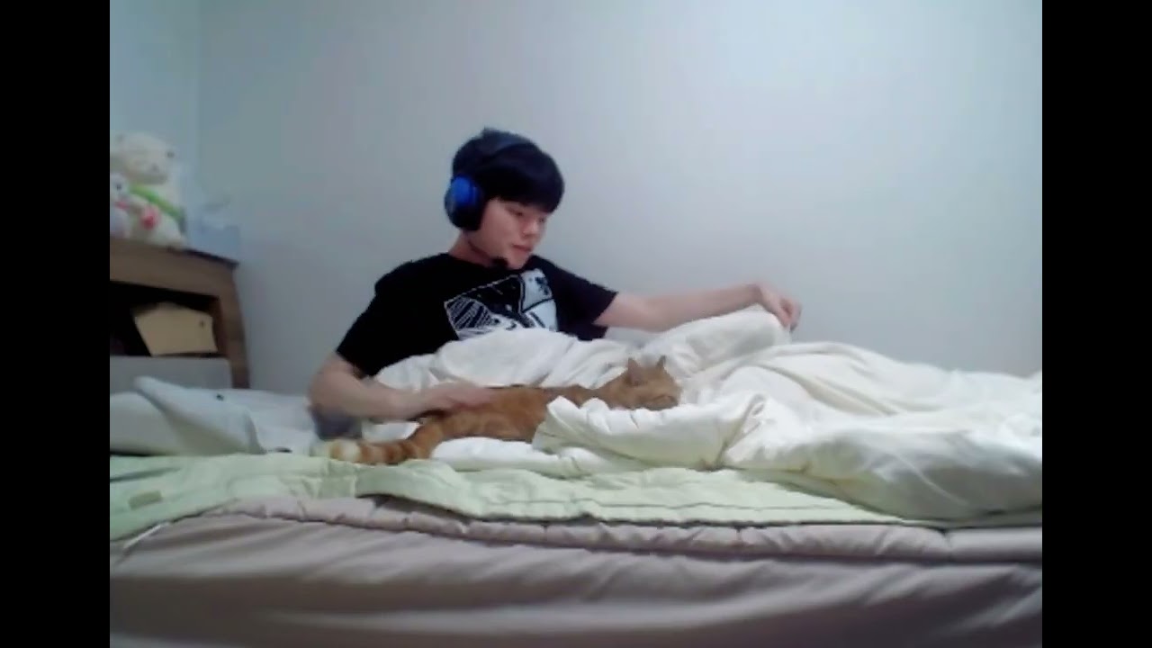 Mèo của Deft (Hodu & Maru)