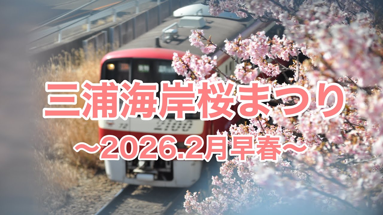 三浦海岸桜まつり