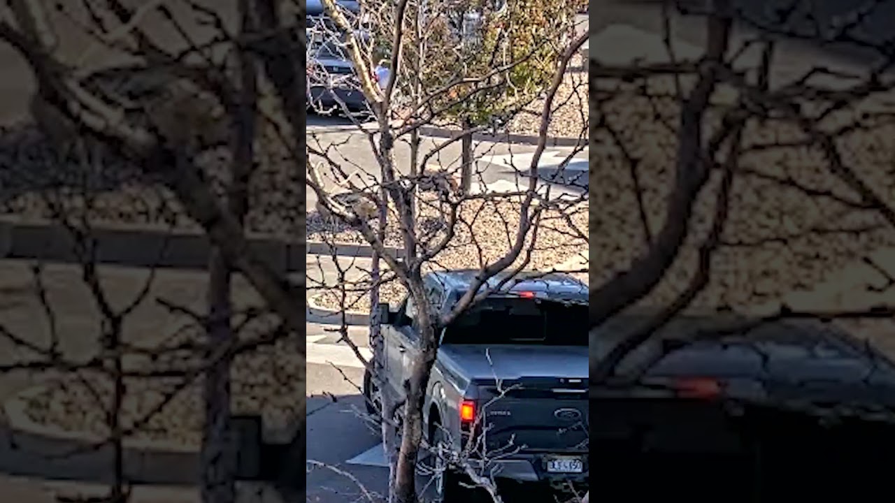 Solved by CCTV: The Parking Lot Murder