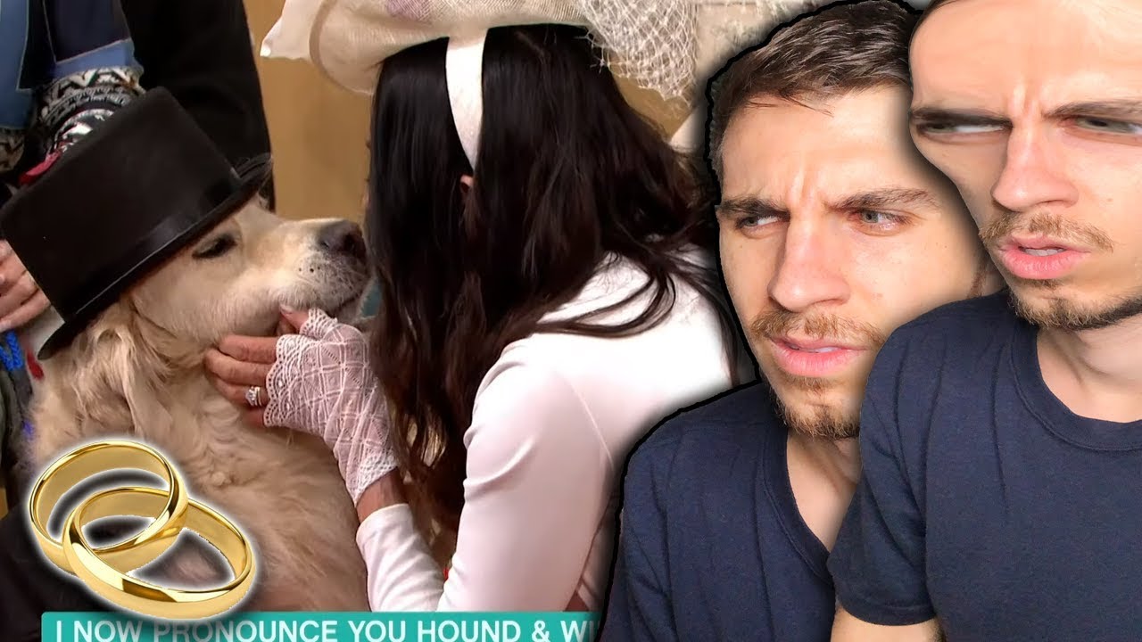 i married my dog because everyone cheated on me