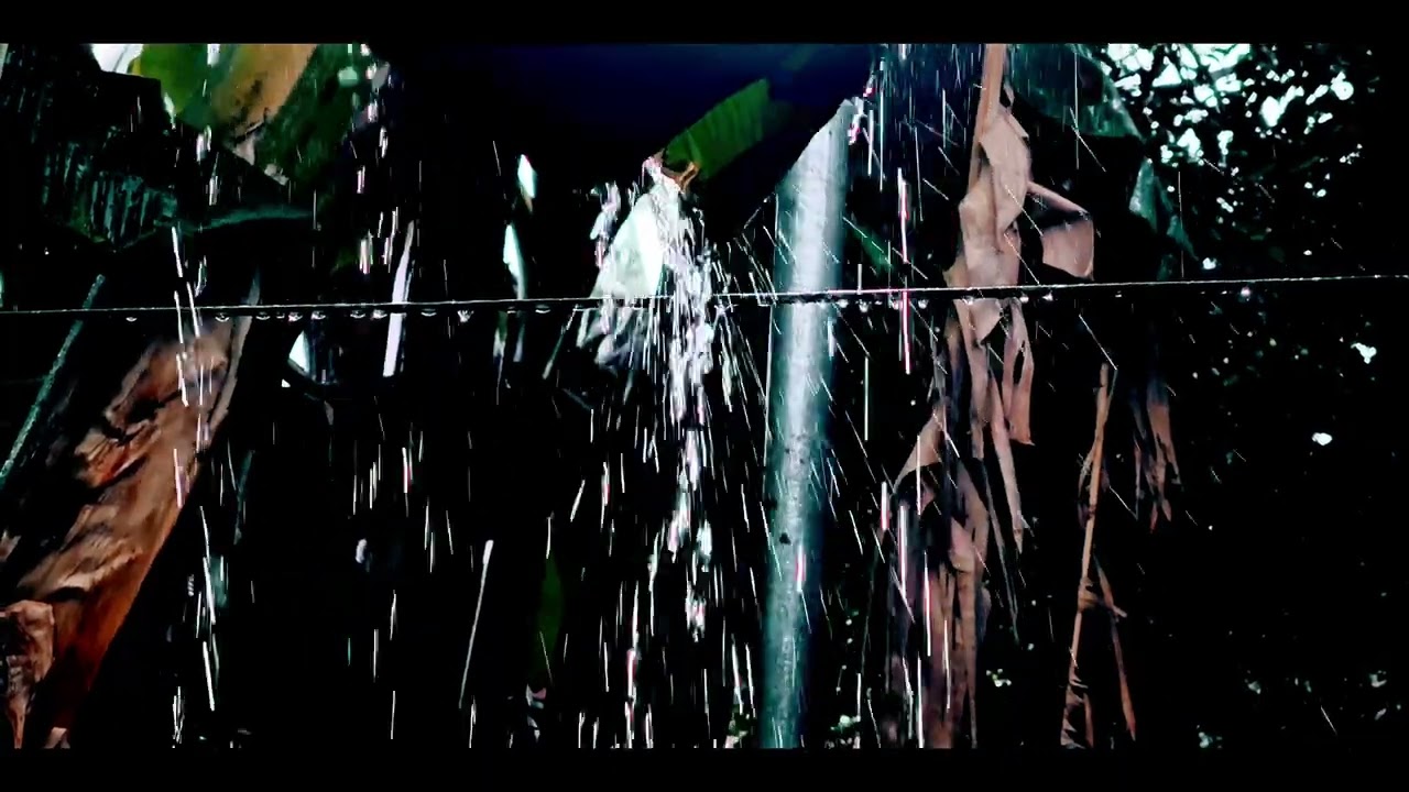 Cinematográfico techos de cartón 