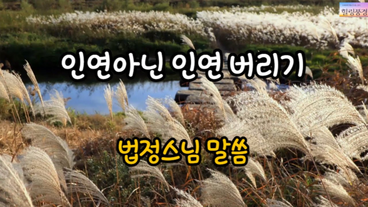 [전체 동영상]  인연아닌 인연 버리기 #법정스님 #명언 #삶의지혜