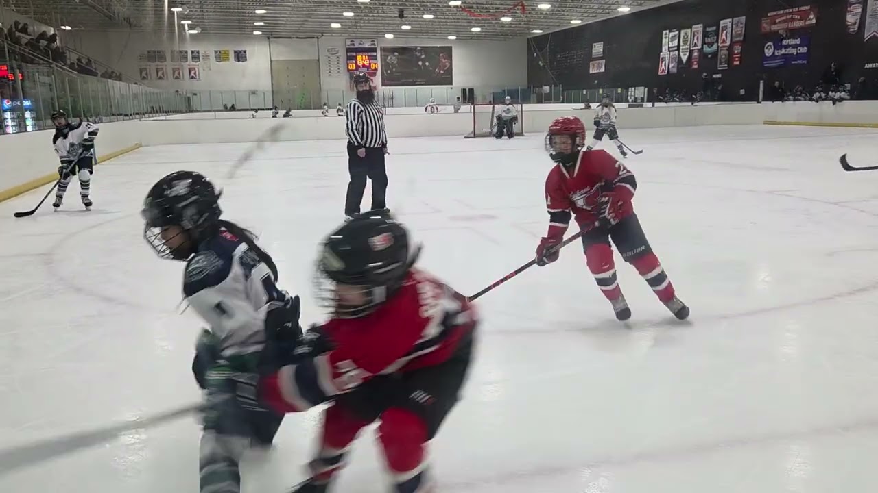 Sno-King 10U Girls B Team - Super Weekend 