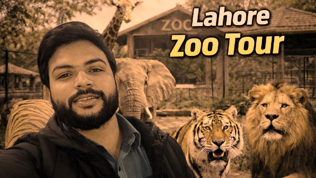 Lahore Zoo Today 🐘🦁 | Full Zoo Tour Vlog | Amazing Experience