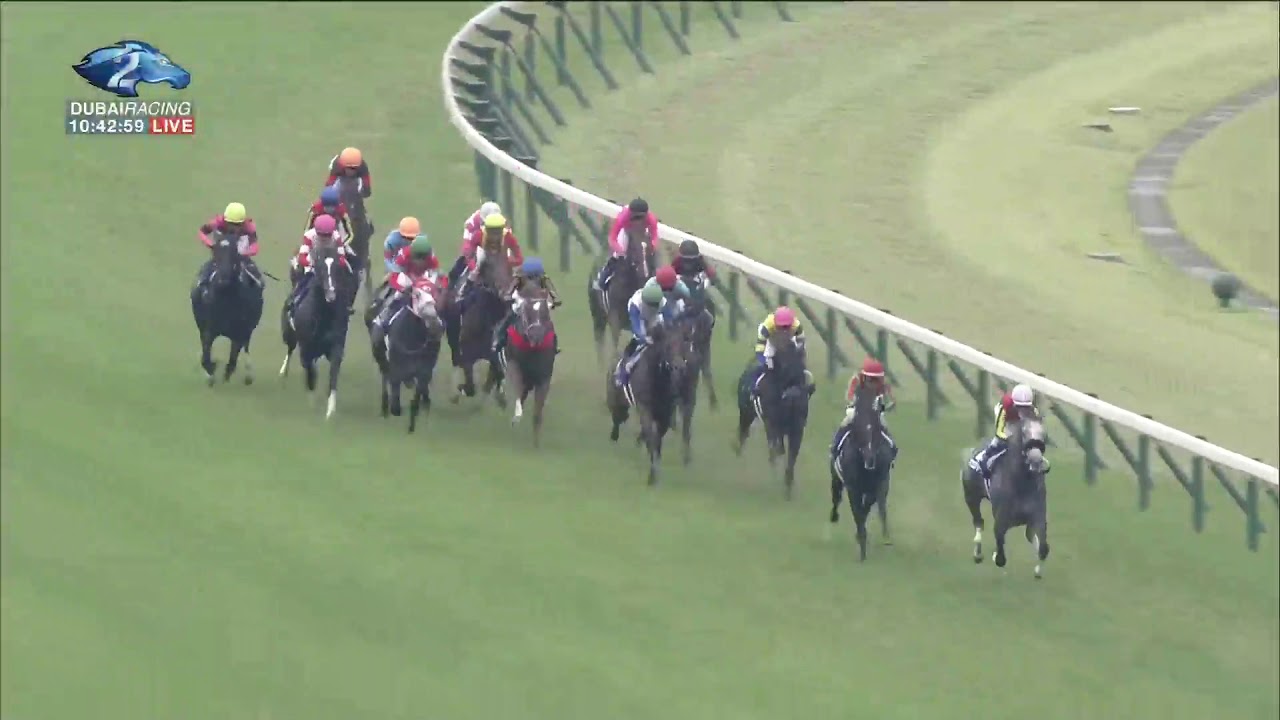 2019.06.02 Yasuda Kinen (JPN) - Indy Champ