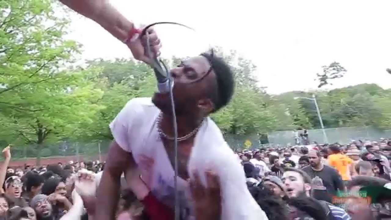 AFROPUNK FEST 2014