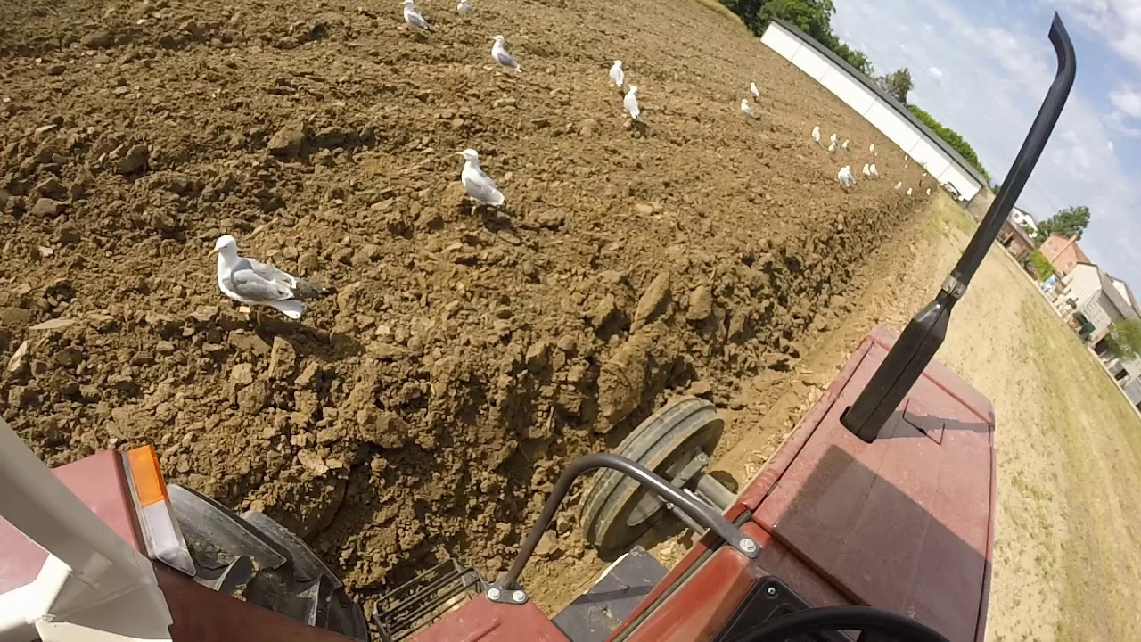 POV Fiat 780 + aratro monovomere DeFranceschi - SOUND - aratura primaverile-spring plowing-TONIATO