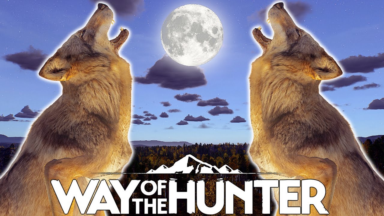 Hunting The Gray Wolf at NIGHT | Way of the Hunter