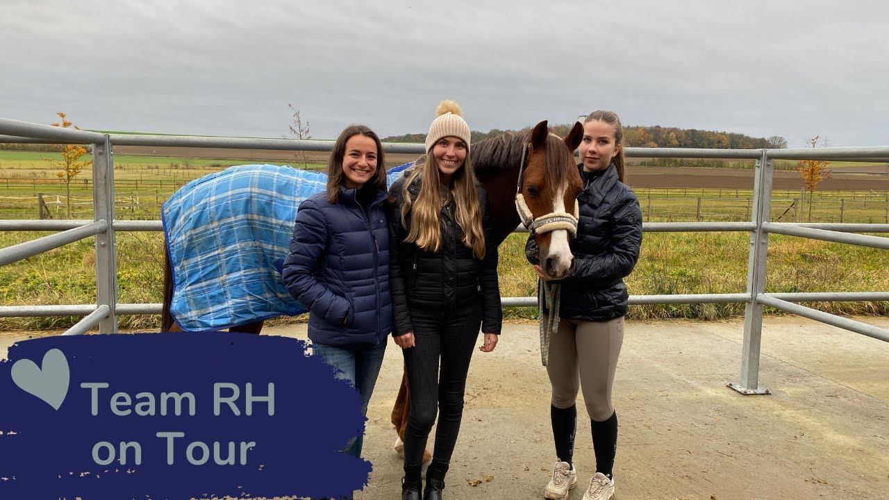 Zu Besuch bei Sophie | Royal Horsemen®