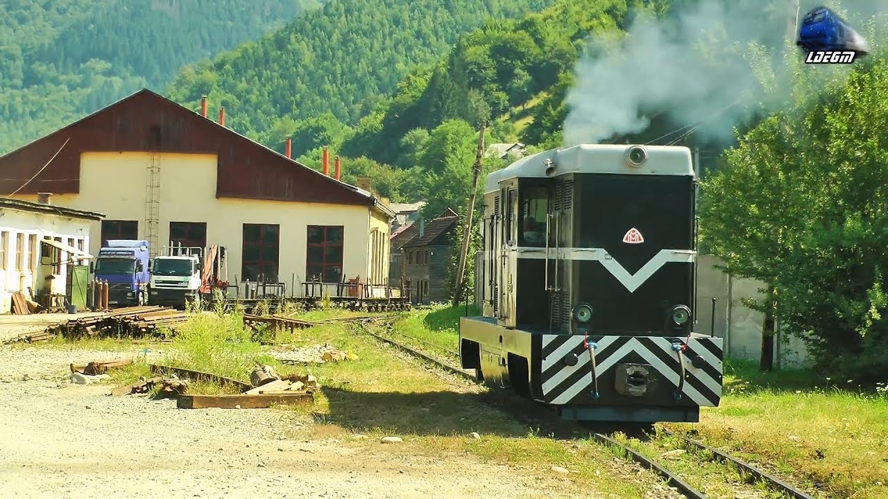 Locomotiva L35H-024 CFF Dieselok la Manevra/Shunting in Gara Viseu de Sus Station - 03 August 2017