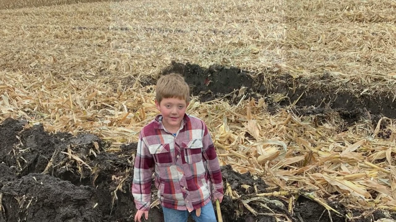 Andersen farm Harvest 2019