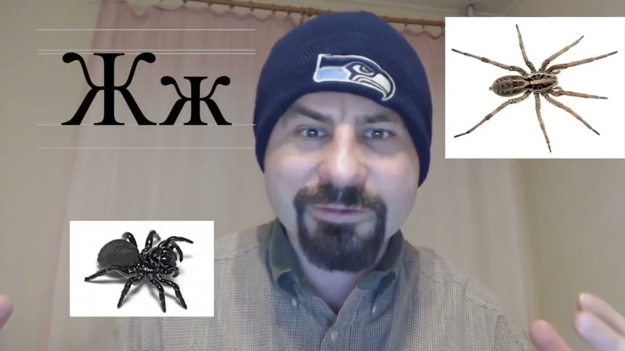 West Coast dude with limited Russian interferes in the Russian presidential elections (2020 satire)