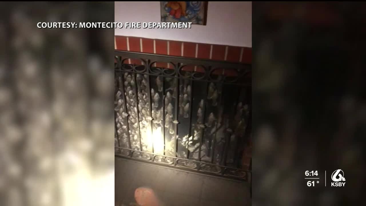 Hundreds of small birds invade two Arroyo Grande homes through chimneys
