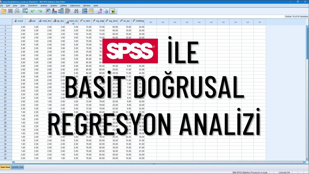 SPSS İle Basit Doğrusal Regresyon Analizi | Ön Şartlardan Yorumlara Tüm Detayları İle