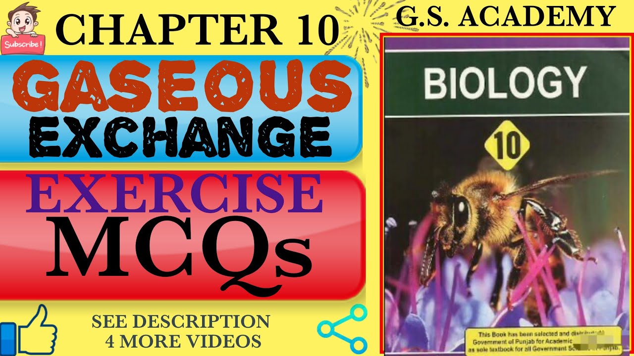 Exercise MCQs, Chapter 10, Gaseous Exchange, Class 10 Biology, GS Academy,