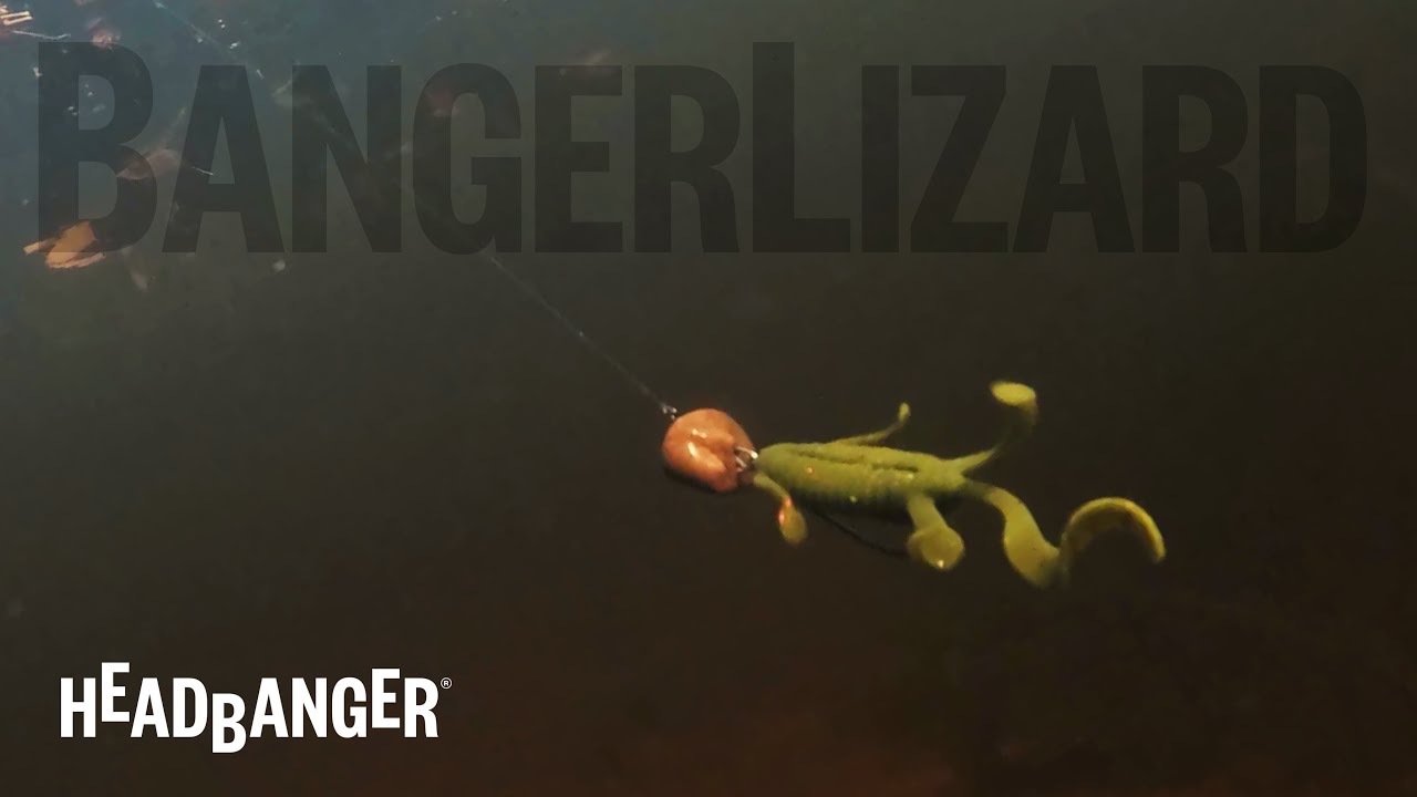 Headbanger BangerLizard - Swimming Action