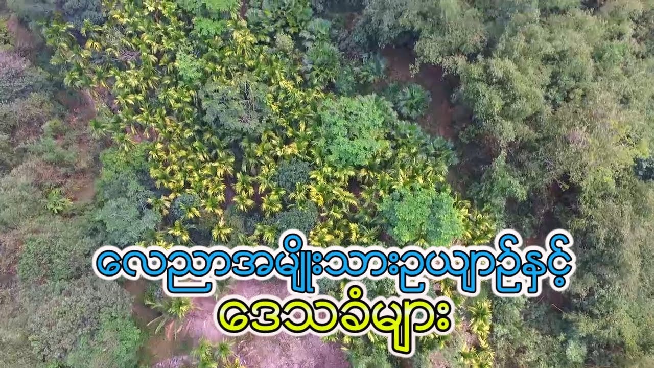 Proposed Lenya National Park in Tanintharyi Region and Environmental Impacts
