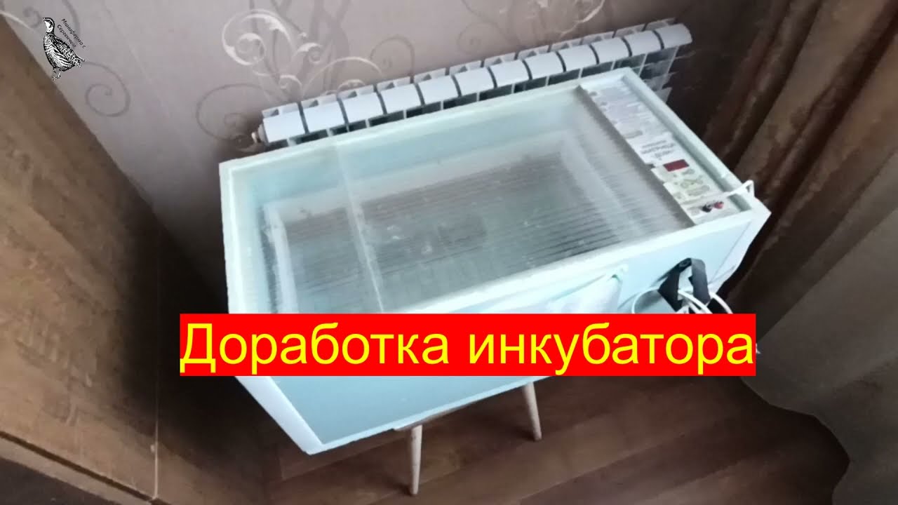 Самый лучший инкубатор. Блиц  Матрица Дели усовершенствованный (3).  Без задохликов!