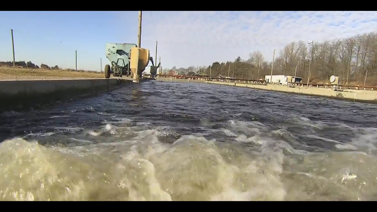 Aquaculture a Danish model (uk subtext)