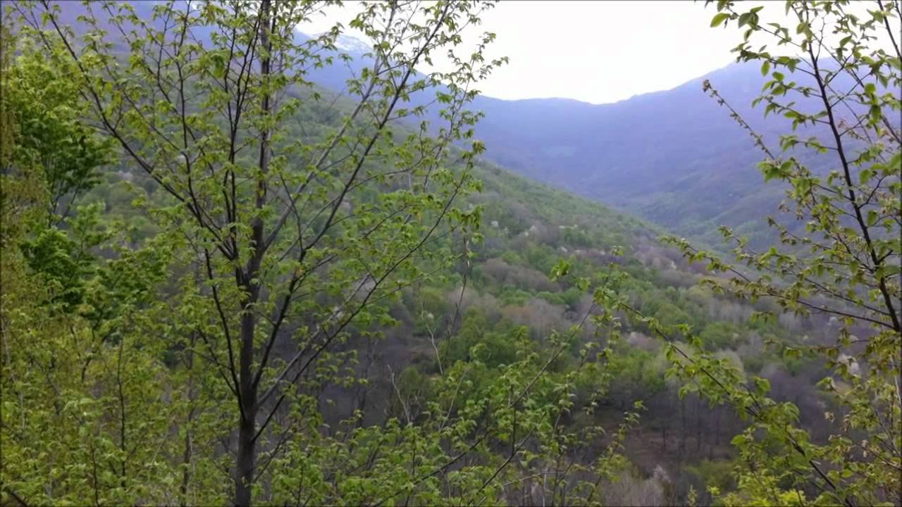 vranovci
