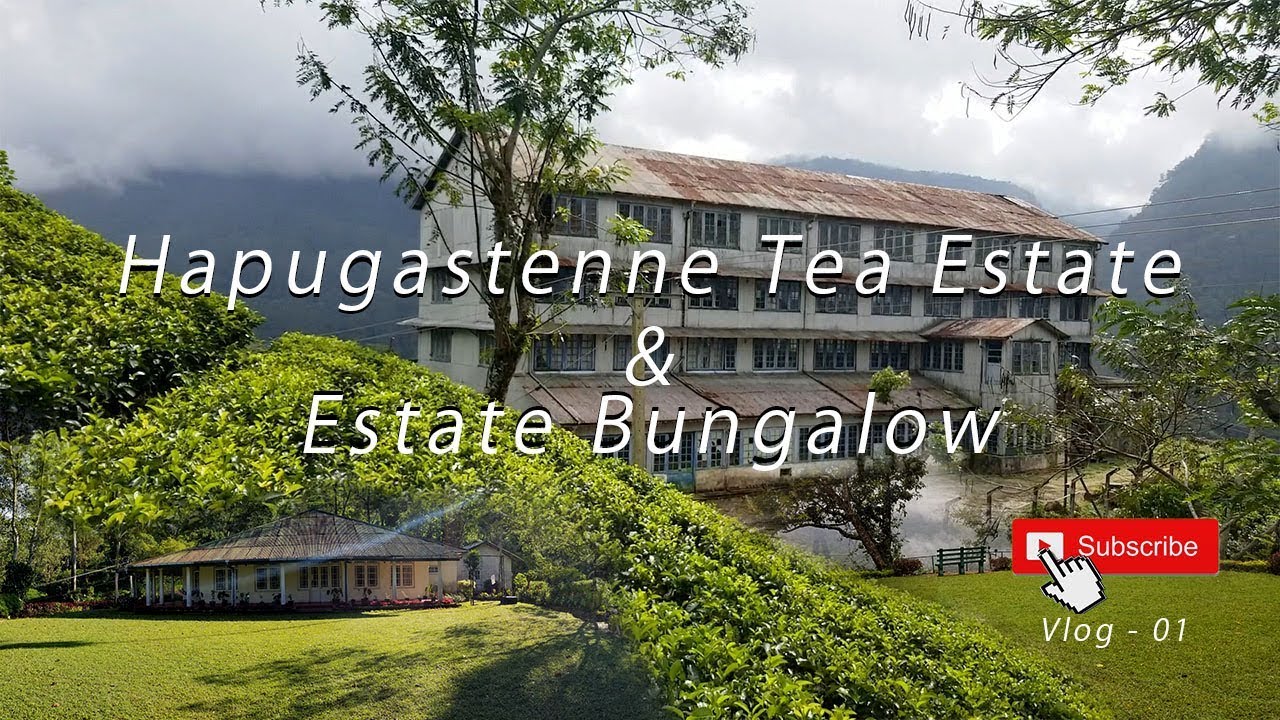 Hapugastenne Estate | Old Tea Factory & Estate Bungalow | Vlog - 01