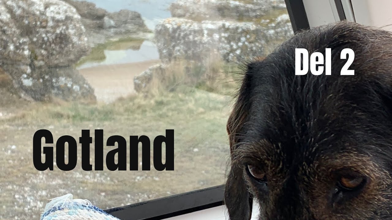 Drömplatsen på Gotland
