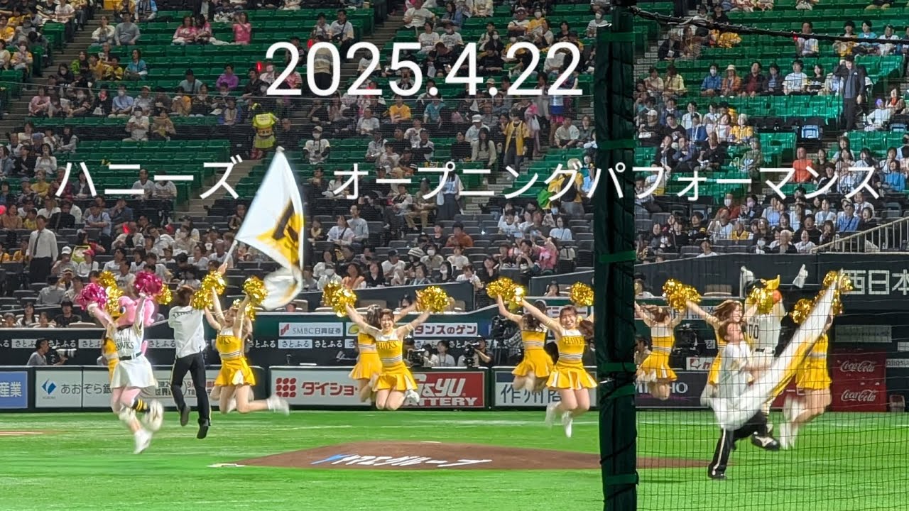2025.4.22 福岡ソフトバンクホークス ダンス＆パフォーマンスチーム ハニーズ オープニングパフォーマンス #福岡ソフトバンクホークス #ハニーズ #チア #ダンス #sbhawks