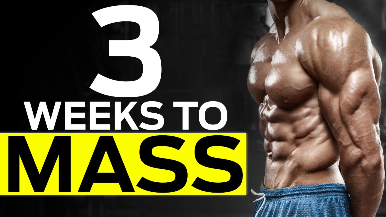 Full Body Workout For Beginners (BUILD MUSCLE WORKOUT!)