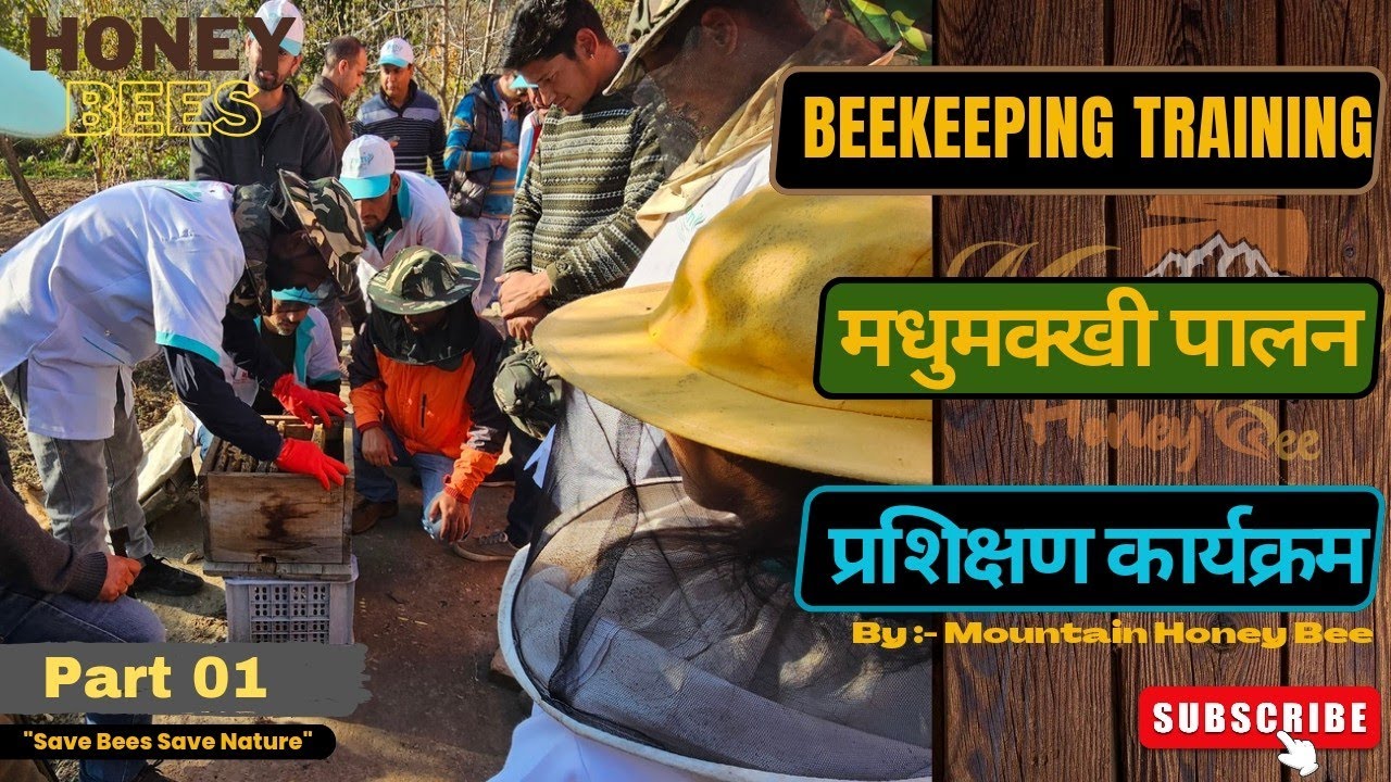 Beekeeping training programme | Madhumakhi palan prashikshan | MHB | part 01| Beekeeping