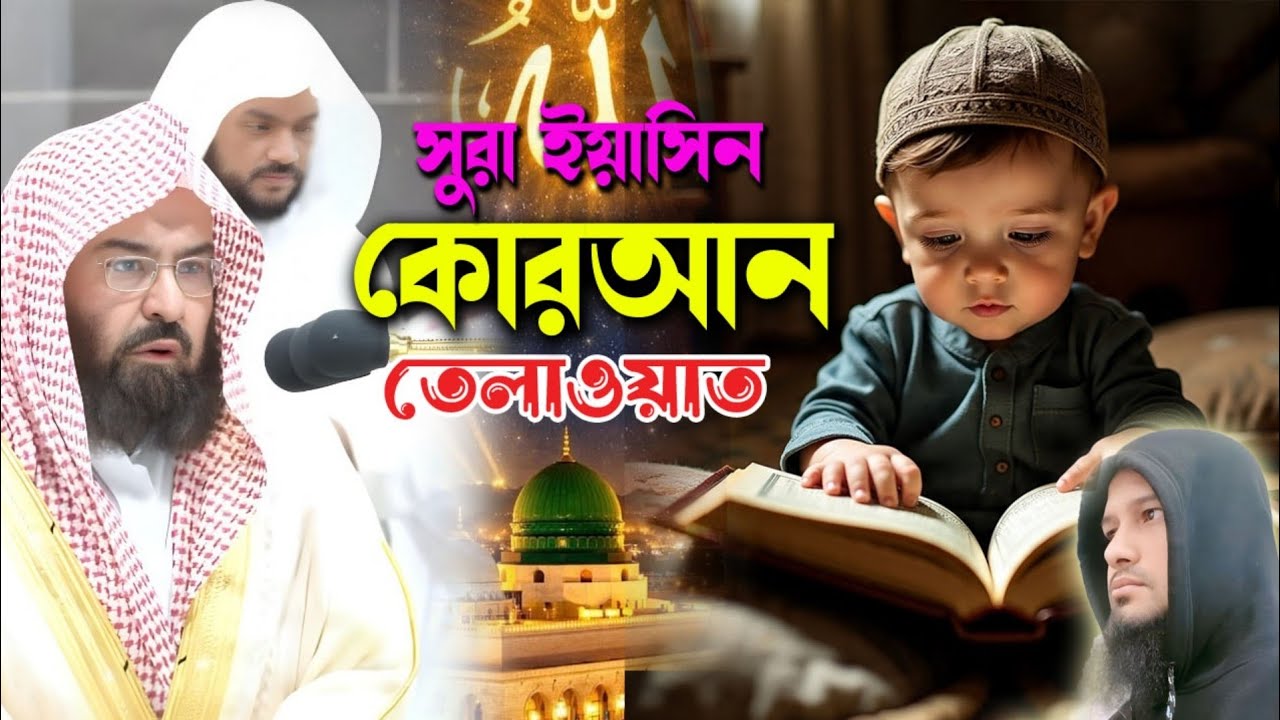 প্রতিদিন /সুরা ইয়াসিন/ তেলাওয়াত করুন/2026/#quran #quranchapter #surah