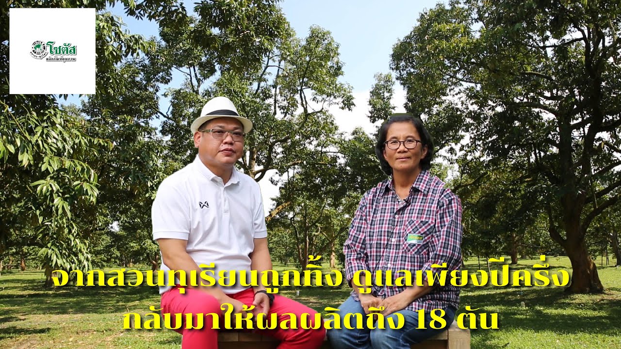 สวนทุเรียนถูกทิ้ง ดูแลเพียงปีครึ่ง กลับมาให้ผลผลิตถึง 18 ตัน #ทุเรียนต้นโทรม #ทุเรียนไม่ให้ผลผลิต