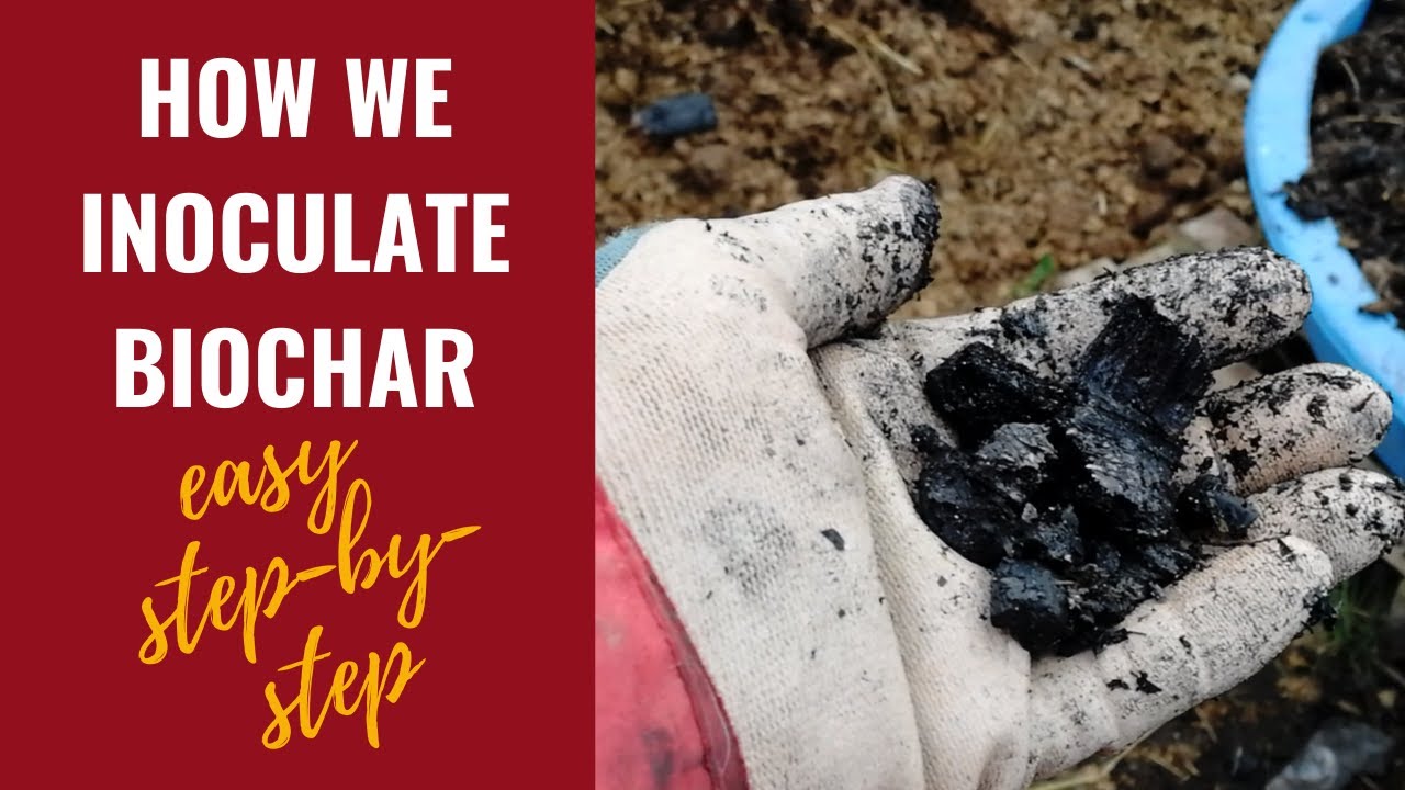 How To Inoculate Biochar - Easy Step-By-Step Process