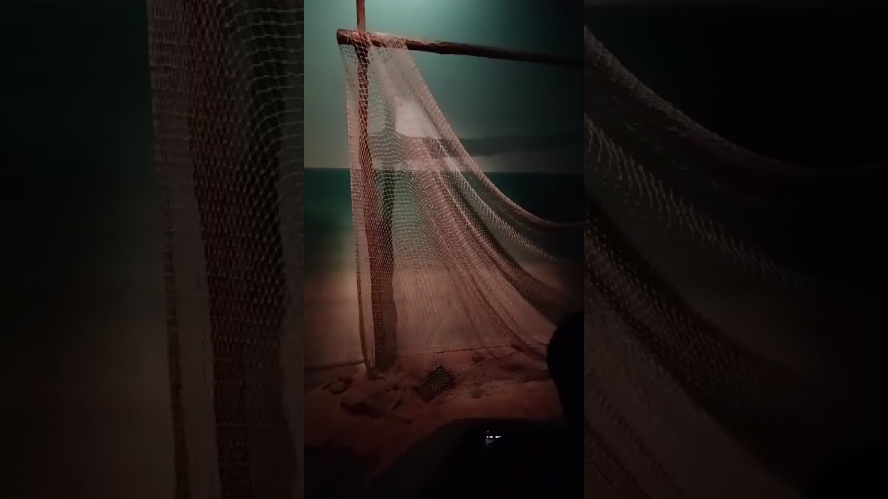 Aabudabu museum video @NHM_AbuDhabi @MuseMalaysia #video #worldvideos #musem 