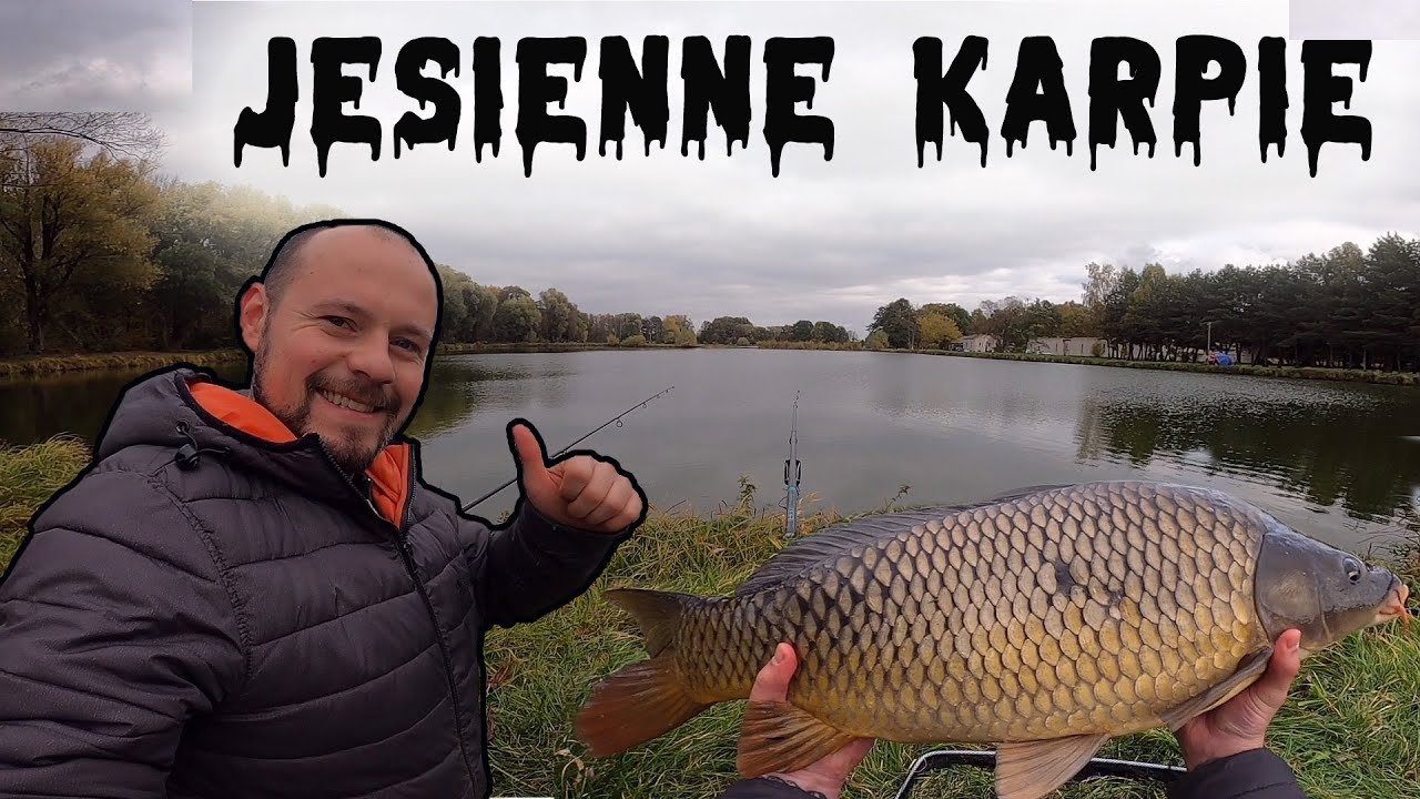 Jesienne Karpie koło Warszawy