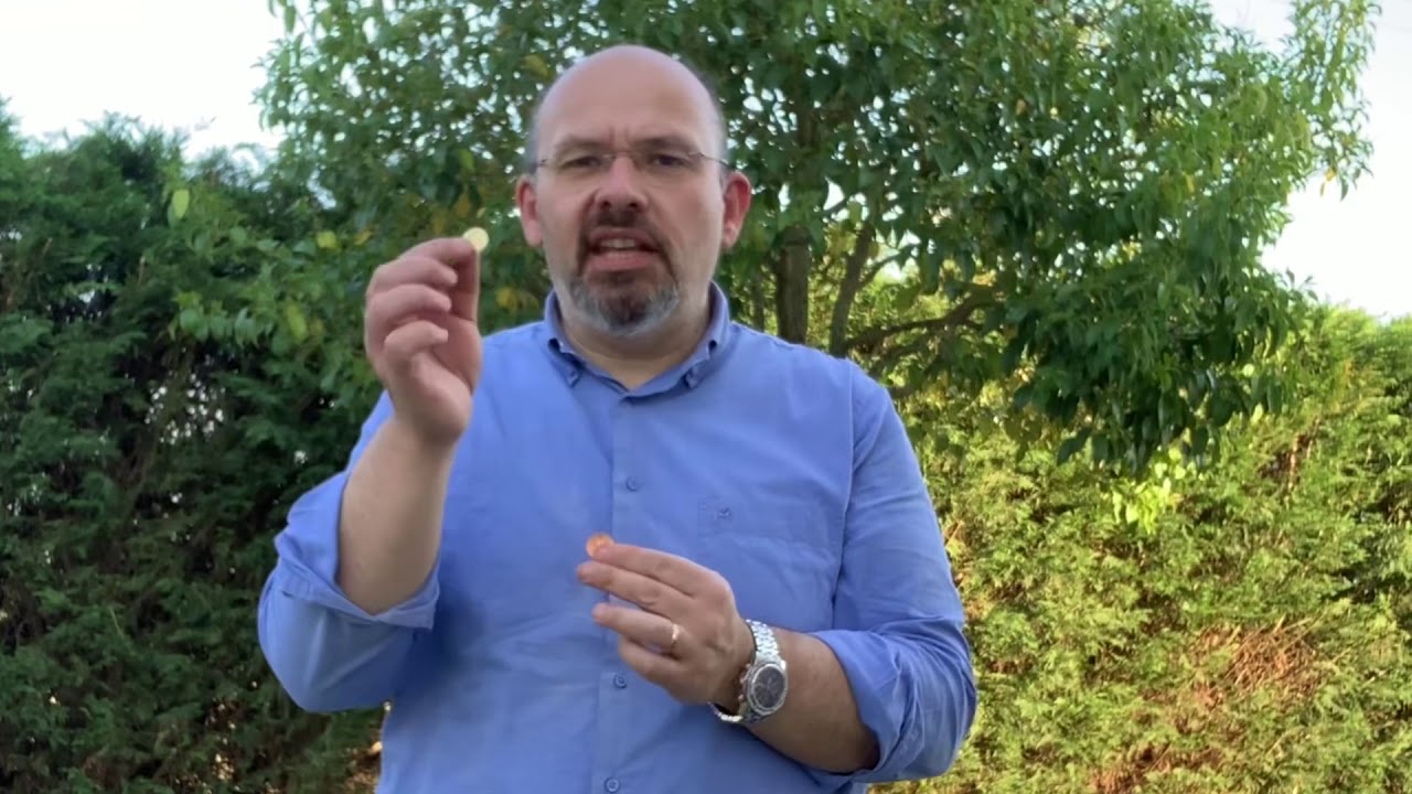 Test di precisione da 15 metri diabolo 4,5 mm