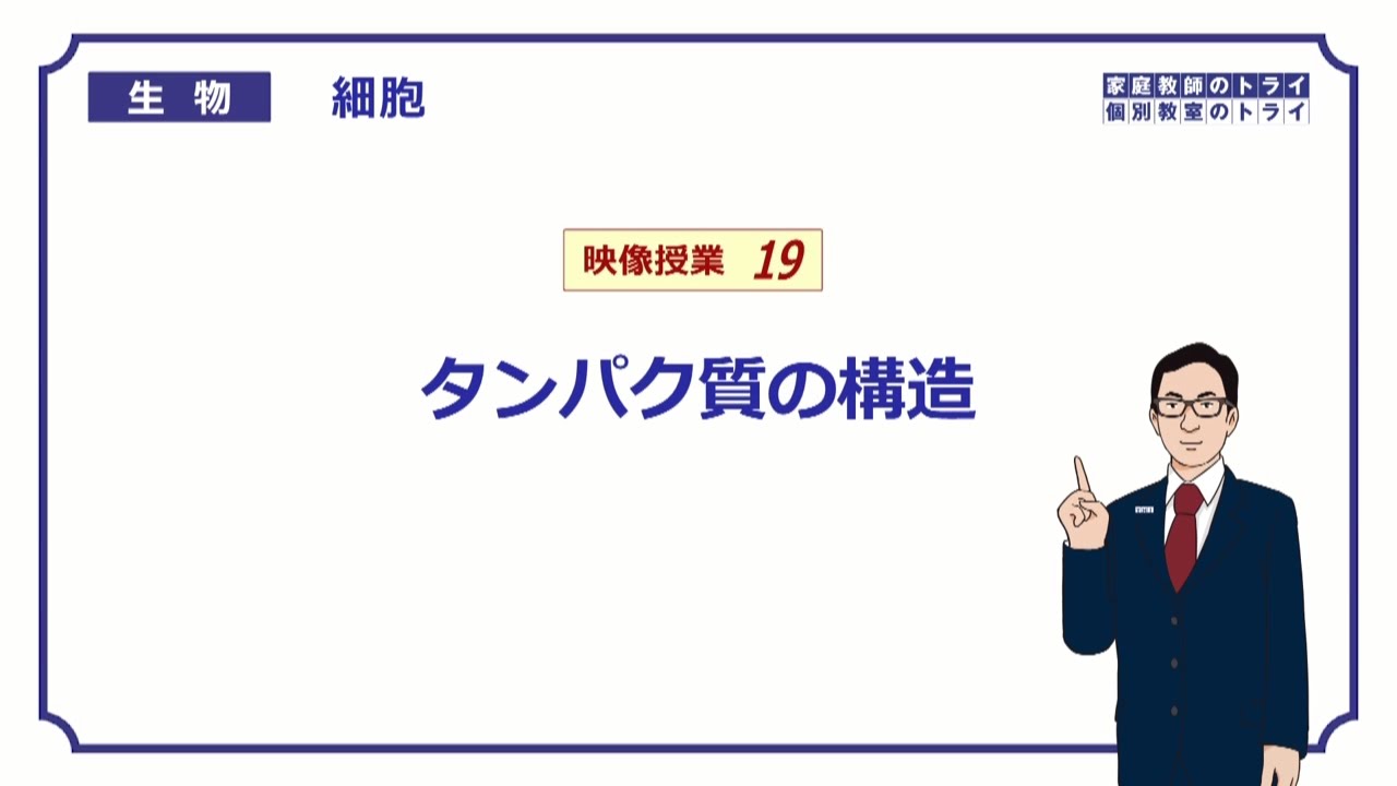 【高校生物】　細胞19　タンパク質の構造（１４分）