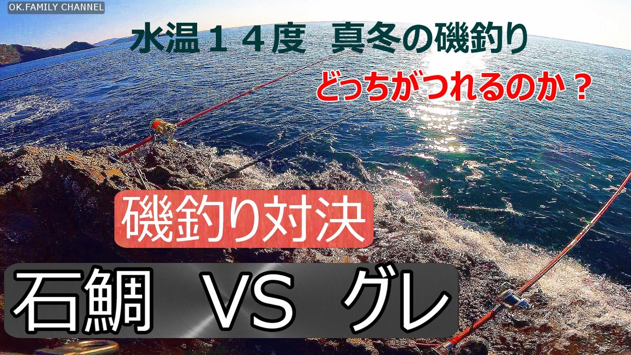 石鯛釣り VS グレ釣り　磯釣り対決　１４度の低水温で石鯛とグレどちらが釣れるか対決してみた！　三重県方座浦　（一級磯　赤島　カザナグチ）